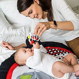 Дрънкалка Babyono Образователно делфинче 553/02
