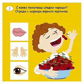 Малки активни карти за ЧОВЕШКОТО ТЯЛО - Ново, подобрено издание!
