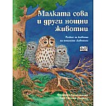 МАЛКАТА СОВА И ДРУГИ НОЩНИ ЖИВОТНИ