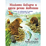 МАЛКОТО БОБЪРЧЕ И ДРУГИ РЕЧНИ ЖИВОТНИ