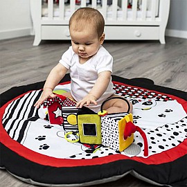 Образователна играчка Babyono OMNIBUS C-More 778