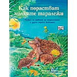 КАК ПОРАСТВАТ МАЛКИТЕ ТАРАЛЕЖИ