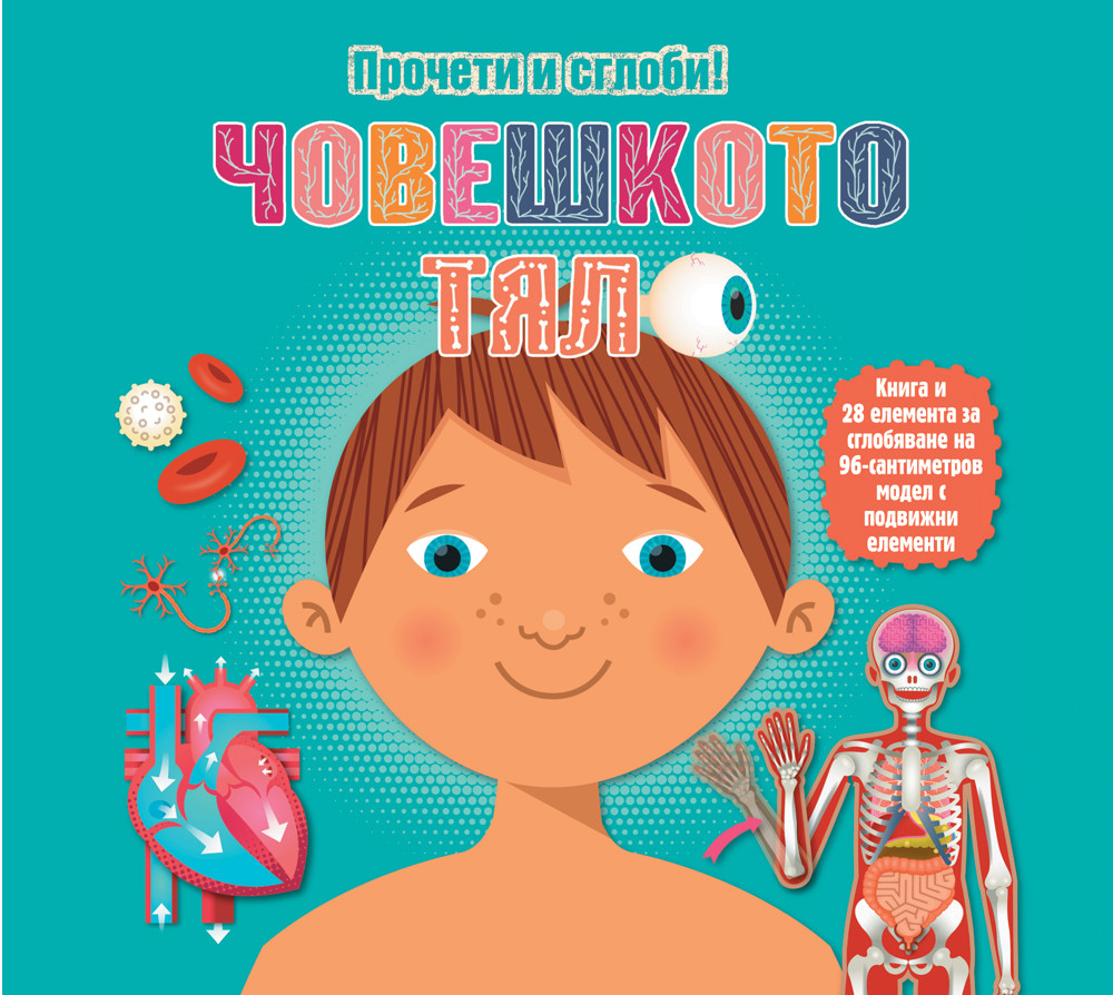 ЧОВЕШКОТО ТЯЛО - ПРОЧЕТИ И СГЛОБИ ОБЕМЕН ПЪЗЕЛ!
